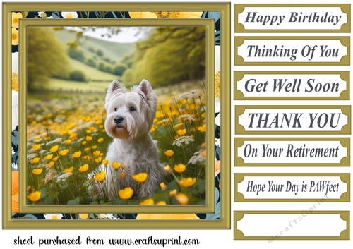 Westie in buttercup field card front 3