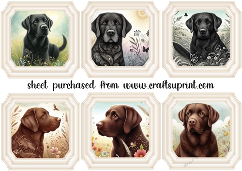 6 Black and Chocolate Labrador toppers