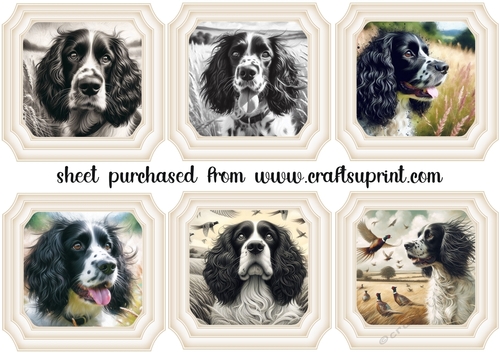 6 Black and white Springer spaniel toppers