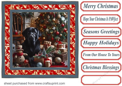 Framed black Labrador Christmas card front 1