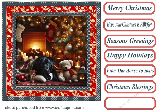 Framed black Labrador Christmas card front 2