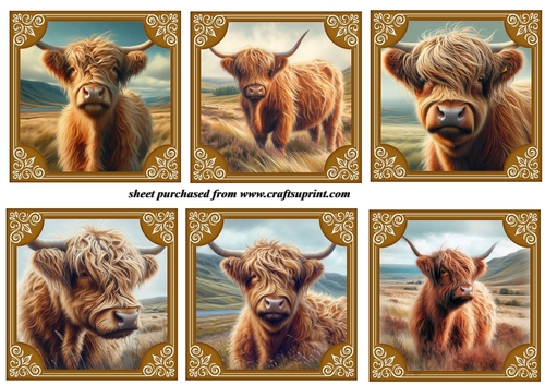 6 Highland cow toppers 1