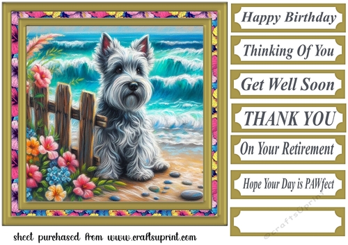 Beach Scottie card front 2