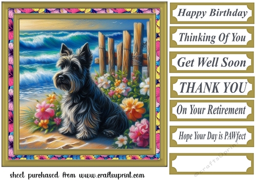 Beach Scottie card front 4