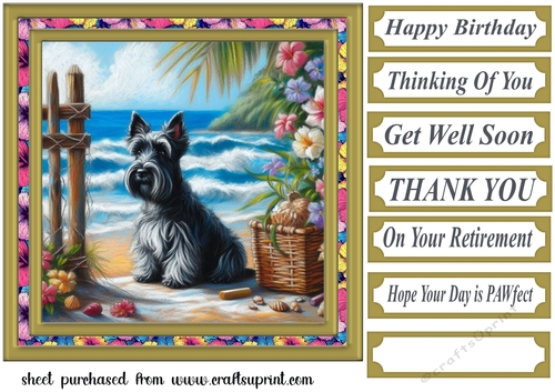Beach Scottie card front 5