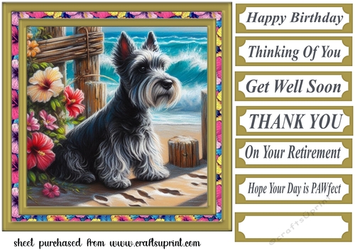 Beach Scottie card front 6