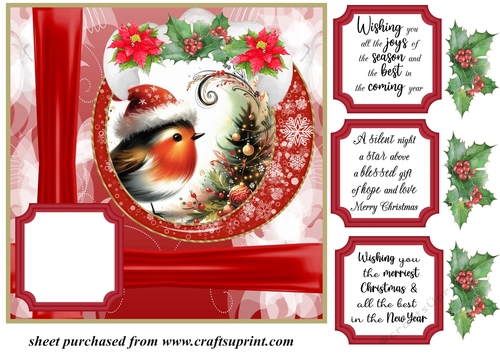Red Christmas robin card front 1