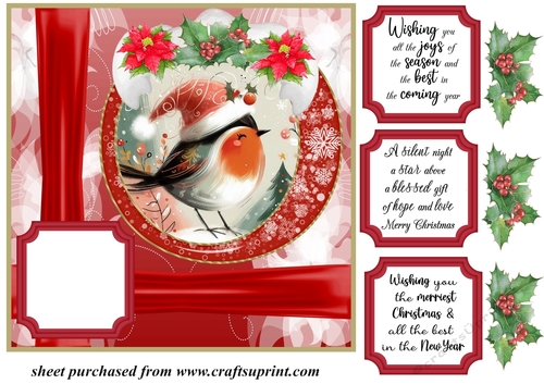 Red Christmas robin card front 2