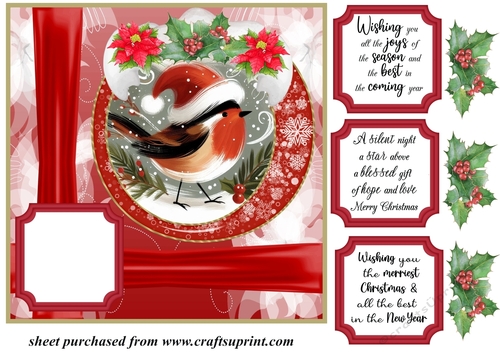 Red Christmas robin card front 3
