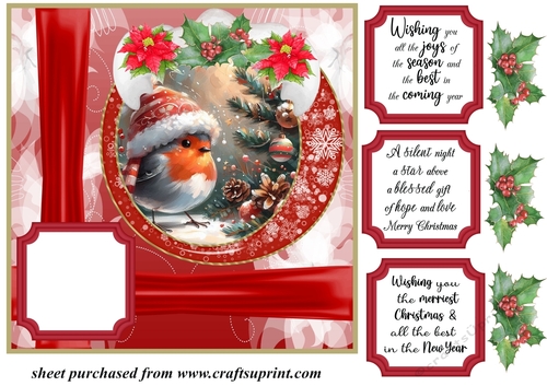 Red Christmas robin card front 4