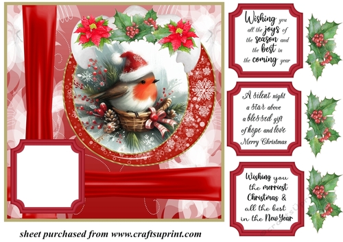 Red Christmas robin card front 5