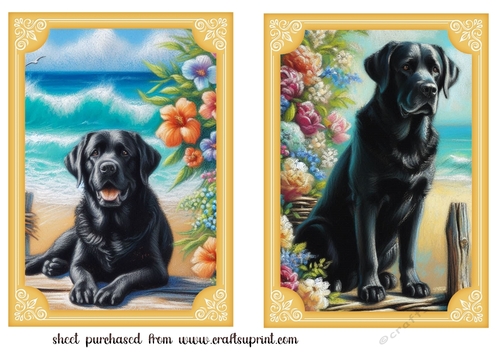 2 Beach black Labrador card fronts 1
