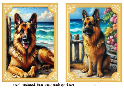 2 Beach German Shepherd card fronts 1
