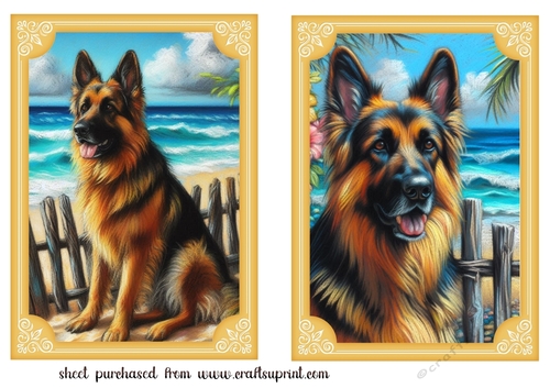 2 Beach German Shepherd card fronts 3