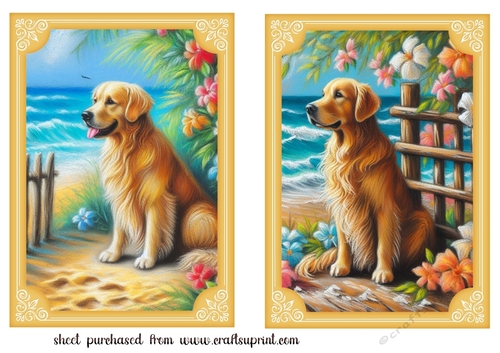 2 Beach Golden Retriever card fronts 1