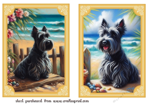 2 Beach Scottish terrier card fronts