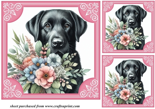 3 Black Labrador say it with flowers card front/toppers 1