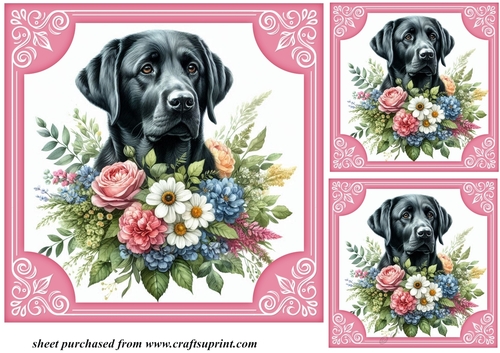 3 Black Labrador say it with flowers card front/toppers 2