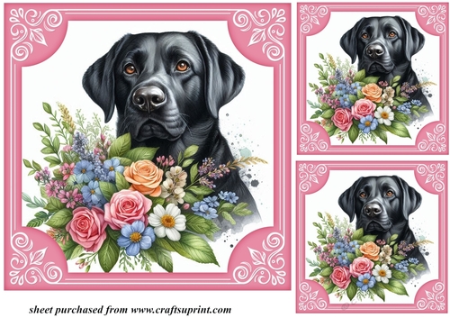 3 Black Labrador say it with flowers card front/toppers 3