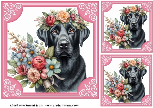 3 Black Labrador say it with flowers card front/toppers 4