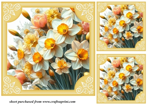 3 Daffodil card front/toppers 2