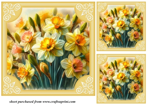3 Daffodil card front/toppers 3
