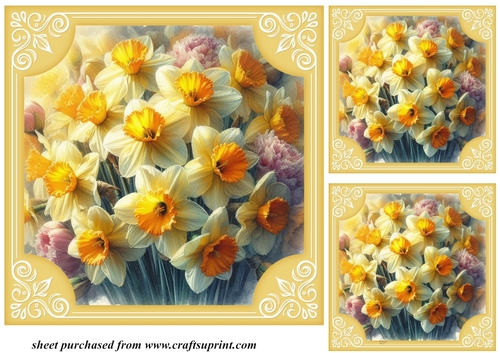 3 Daffodil card front/toppers 4