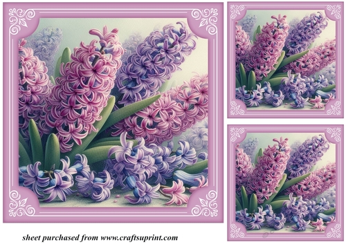 3 Hyacinth card fronts/toppers 1