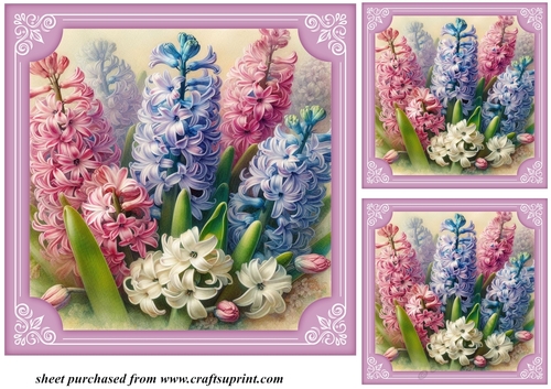 3 Hyacinth card fronts/toppers 2