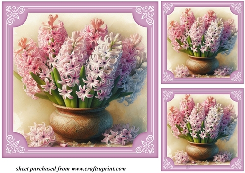 3 Hyacinth card fronts/toppers 3