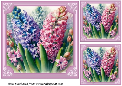 3 Hyacinth card fronts/toppers 4
