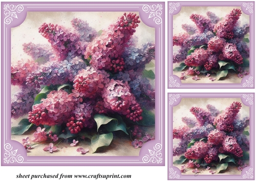 3 Framed Lilacs card fronts/toppers 3