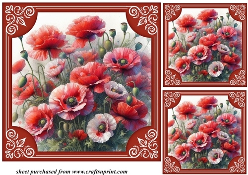 3 Framed poppy card fronts/toppers 3