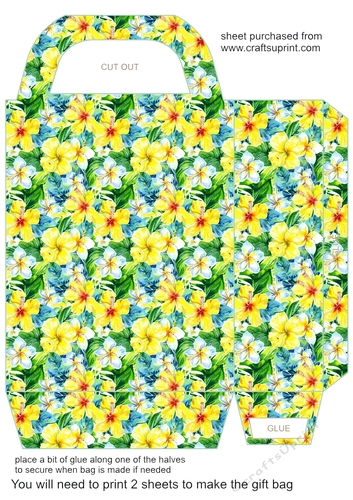 Tropical Hibiscus gift bag 3