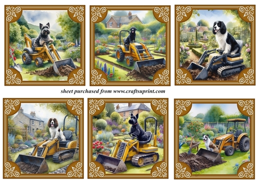 6 The dogs digging the garden again toppers 1