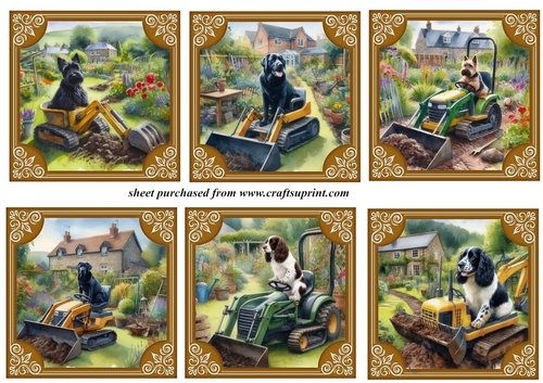 6 The dogs digging the garden again toppers 2