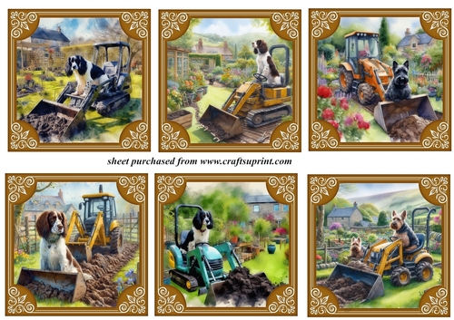 6 The dogs digging the garden again toppers 3