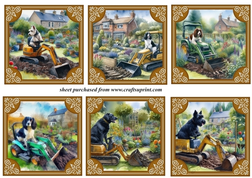 6 The dogs digging the garden again toppers 4