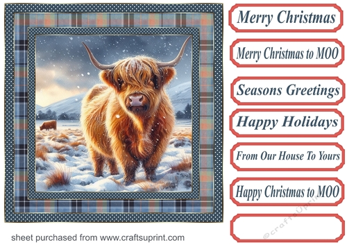 Blue check framed Christmas Highland cow card front 1