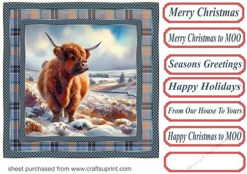 Blue check framed Christmas Highland cow card front 2