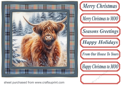 Blue check framed Christmas Highland cow card front 3