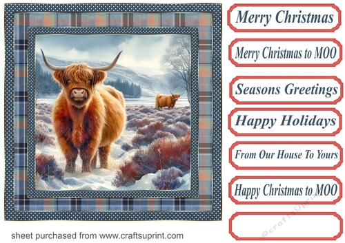 Blue check framed Christmas Highland cow card front 4
