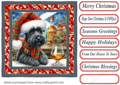 Christmas Scottish terrier with whisky card front 6