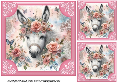 3 Floral donkey card front/toppers 2