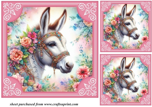 3 Floral donkey card front/toppers 3