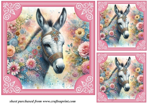 3 Floral donkey card front/toppers 5