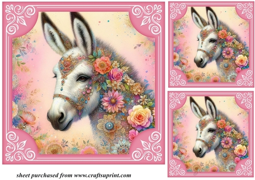 3 Floral donkey card front/toppers 6