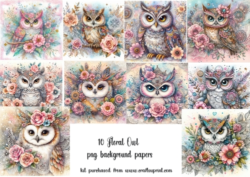 10 Floral owl backgrounds kit