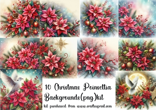 10 Christmas poinsettia backgrounds (png) kit