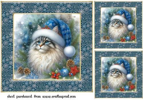 3 Christmas cat in blue hat card front/toppers 5